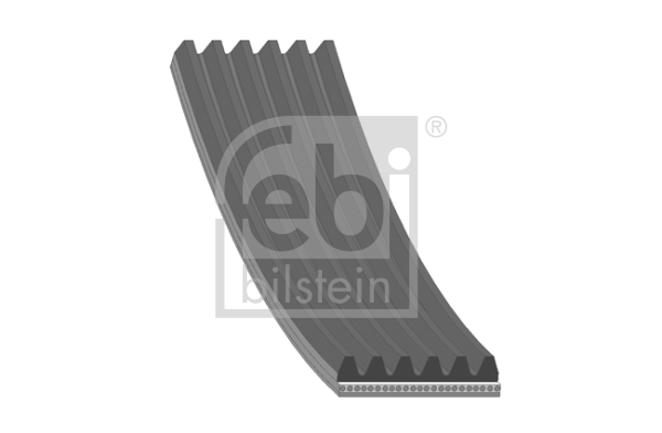 Pasek klinowy wielorowkowy